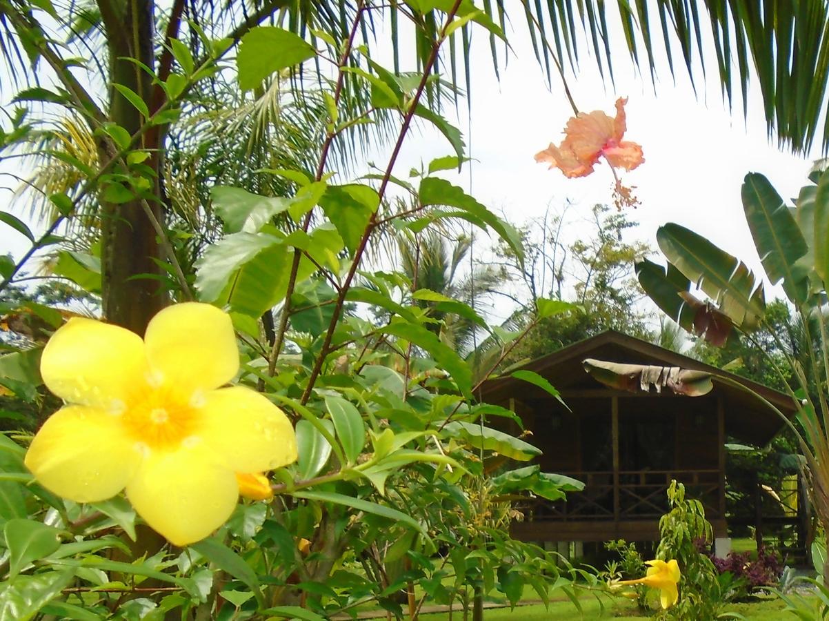 J And H Garden Cabinas Bocas del Toro Exteriör bild